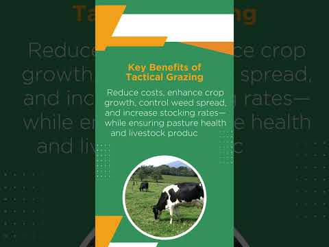 Unlock the potential of your pastures with smart grazing management!