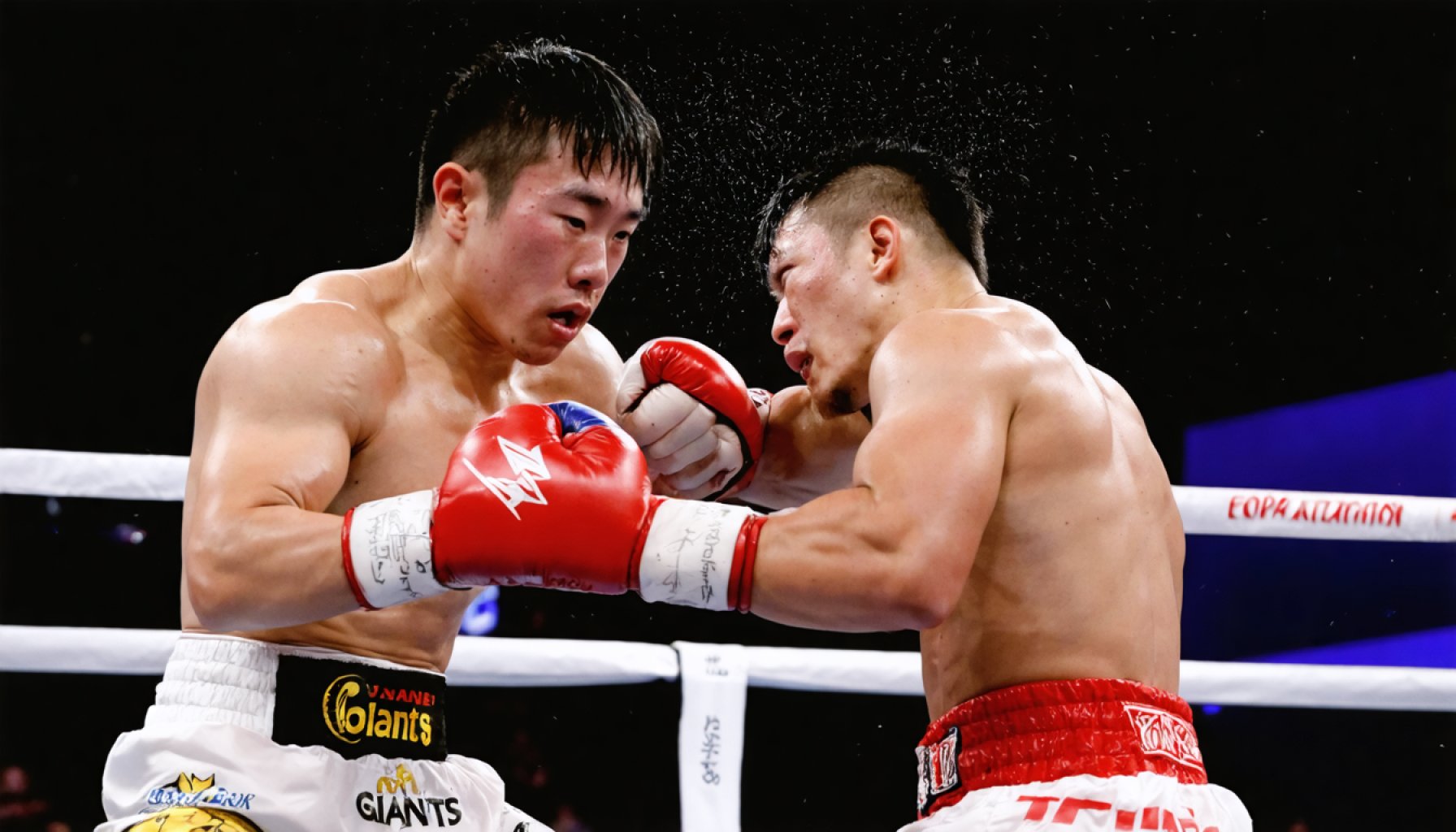 The Battle of Giants: Japan’s Triple World Flyweight Title Showdown