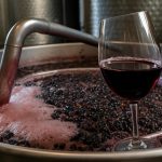 Unlocking the Secrets of Zinfandel Wine Fermentation: Bold Flavors Revealed